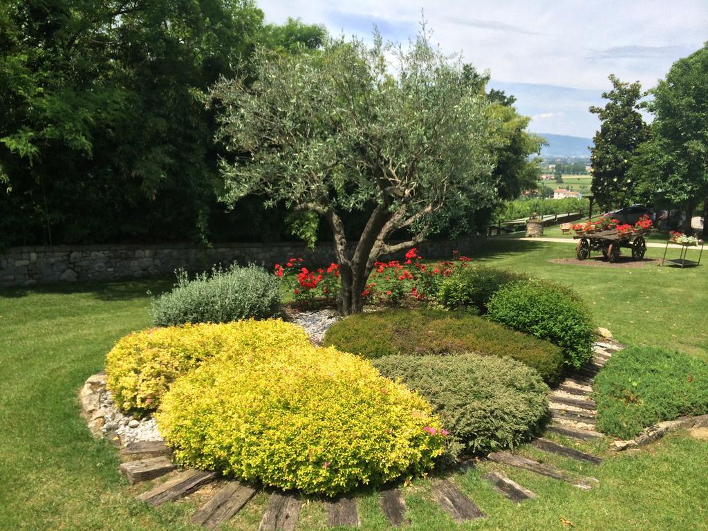 Agriturismo Al Colle Del Ciliegio Villa Rovolon Exterior foto